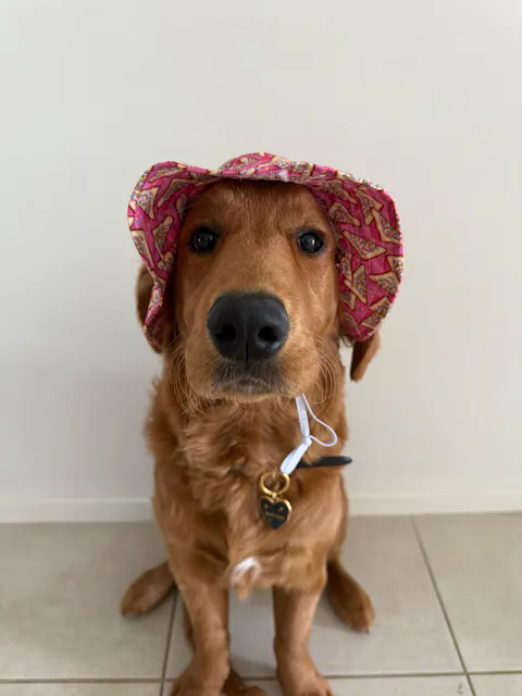 Barket Hats