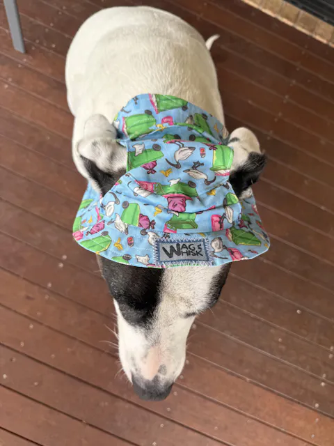 Barket Hats