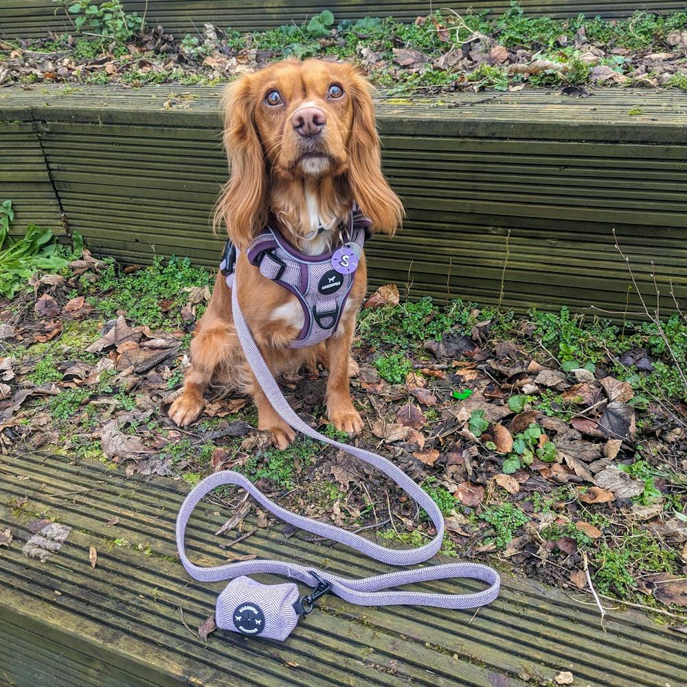 Control Dog Harness - Purple Herringbone