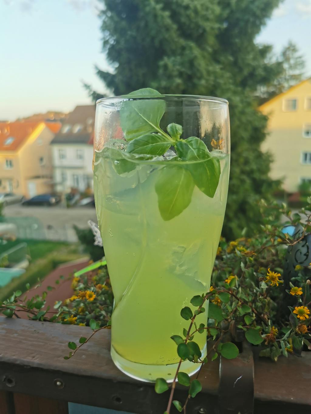 Basil Smash Gin. Der Basilikum Gin von Wajos.