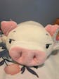 Peppa & Poppy the Kawaii Pig Plushies