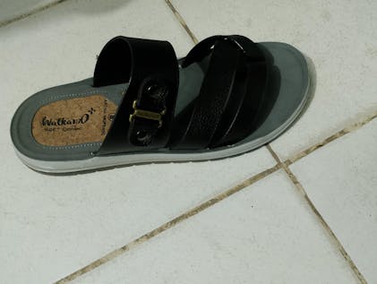 Kalinga Ashok Vkc Walkaroo Canvas Shoes Shop Men's Daily Wear