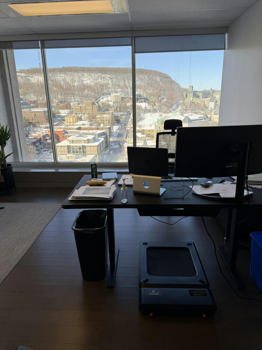 A1 Plus Walking Treadmill