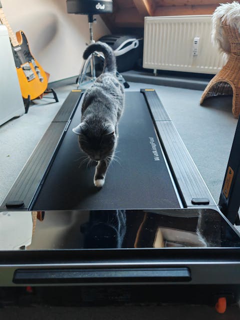 WalkingPad Z3 Hybrid+ Klappbares Laufband für Schreibtisch