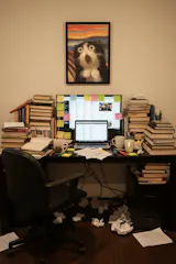 User picture