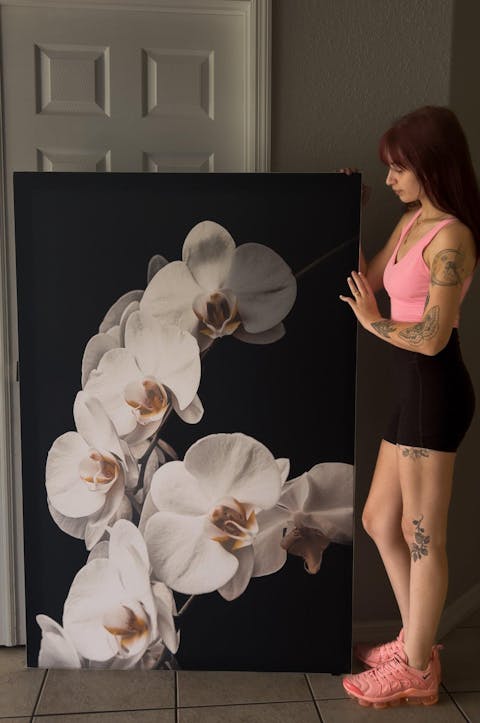 Blooming White Orchids Close-Up