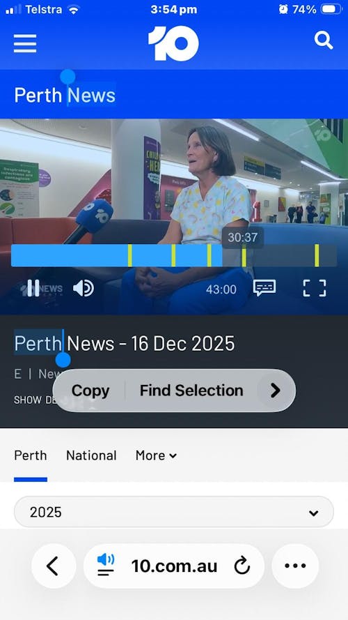 Oak (with Grey Felt) Wood Wall Panel