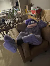 User picture