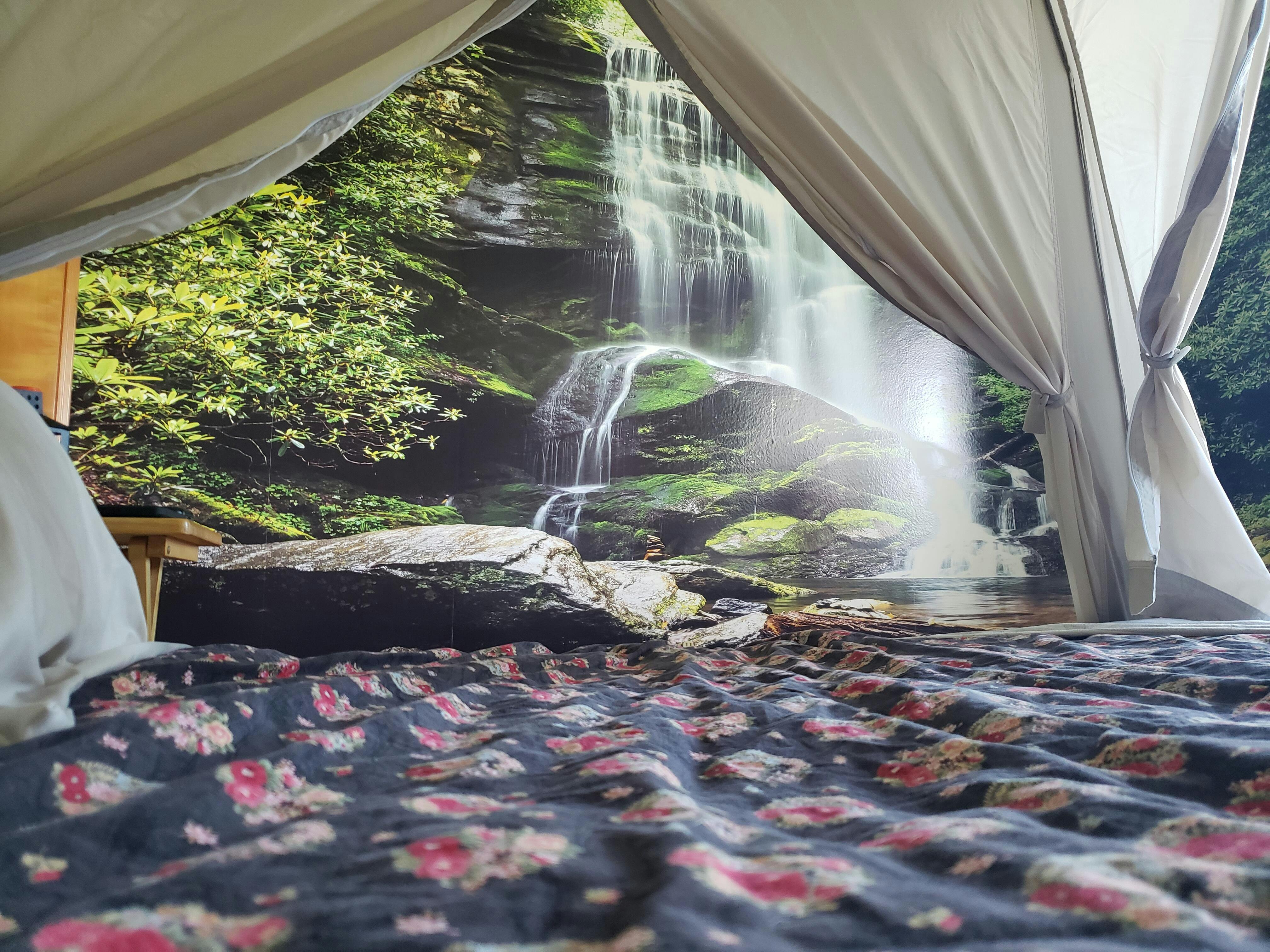 Wander Prints Reviews Wander Prints™