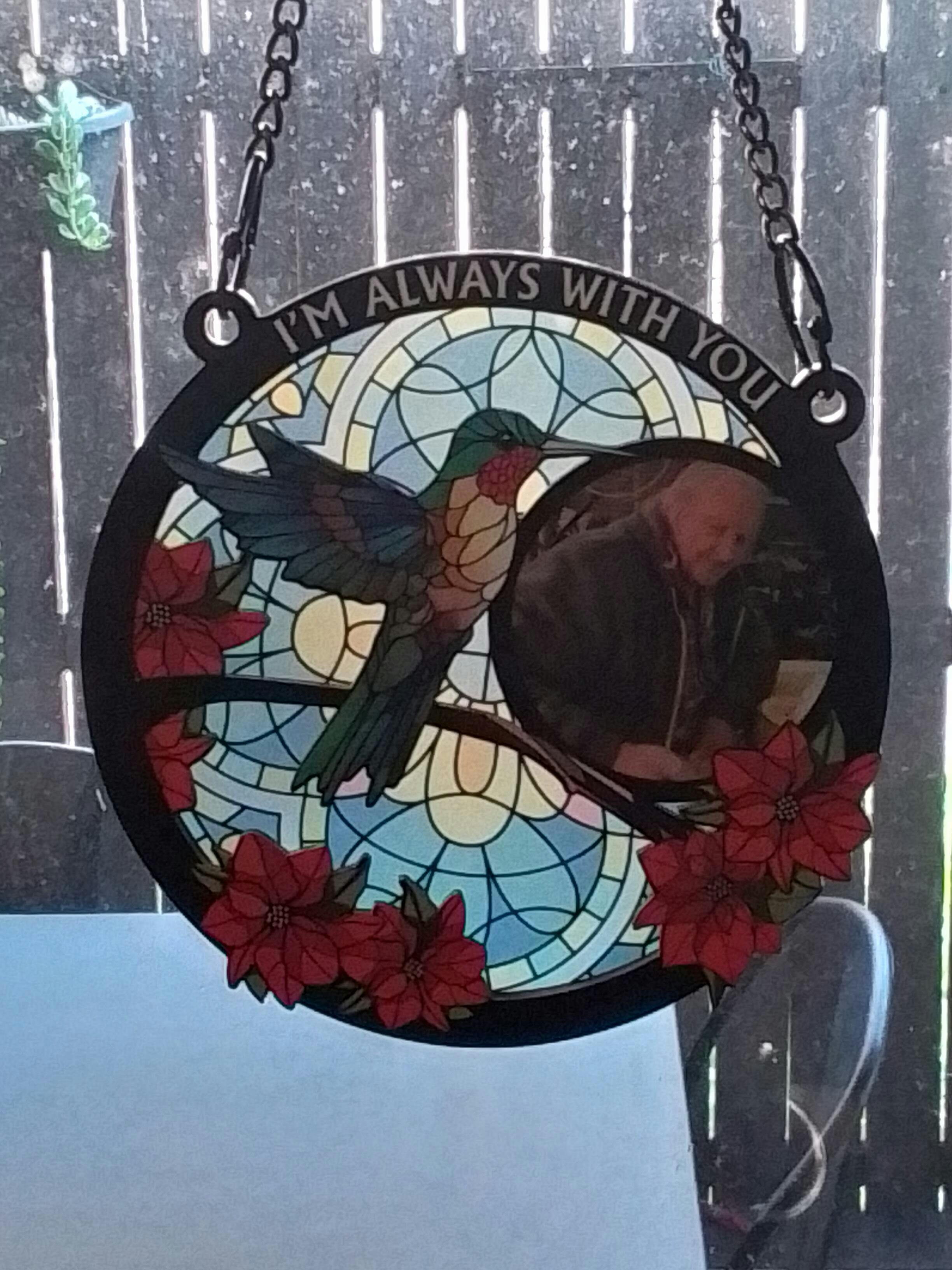 Wander Prints Reviews Wander Prints™