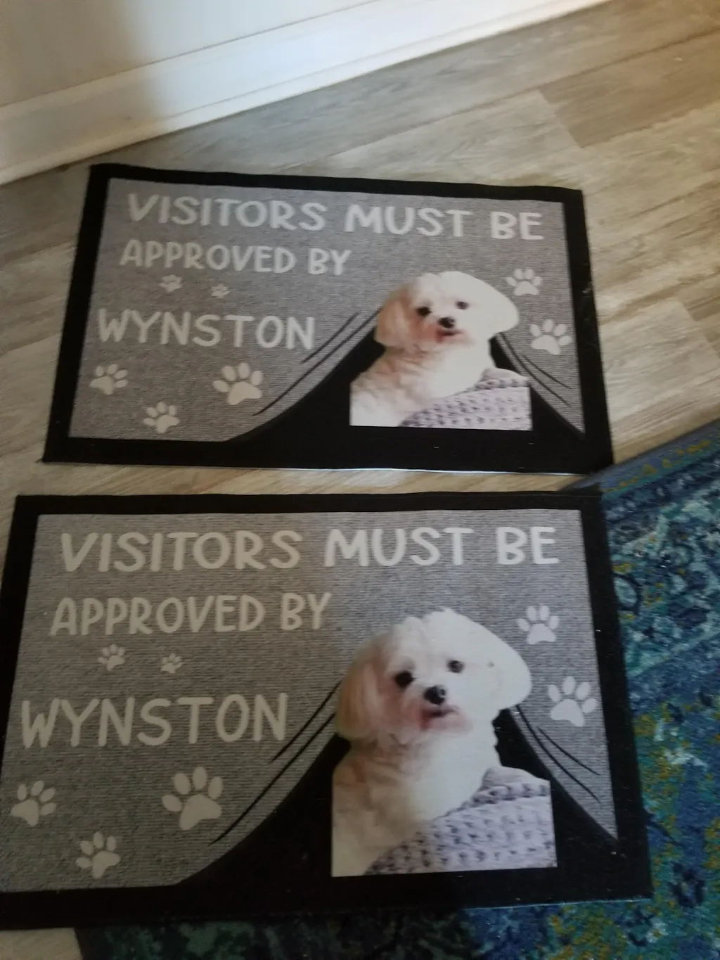 All Guests Must Be Approved Personalized Custom Photo Dog Cat Doormat C737