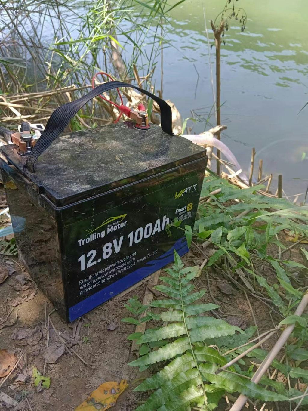 What Are LiFePO4 Batteries and Why Are They So Popular? WattcycleUS