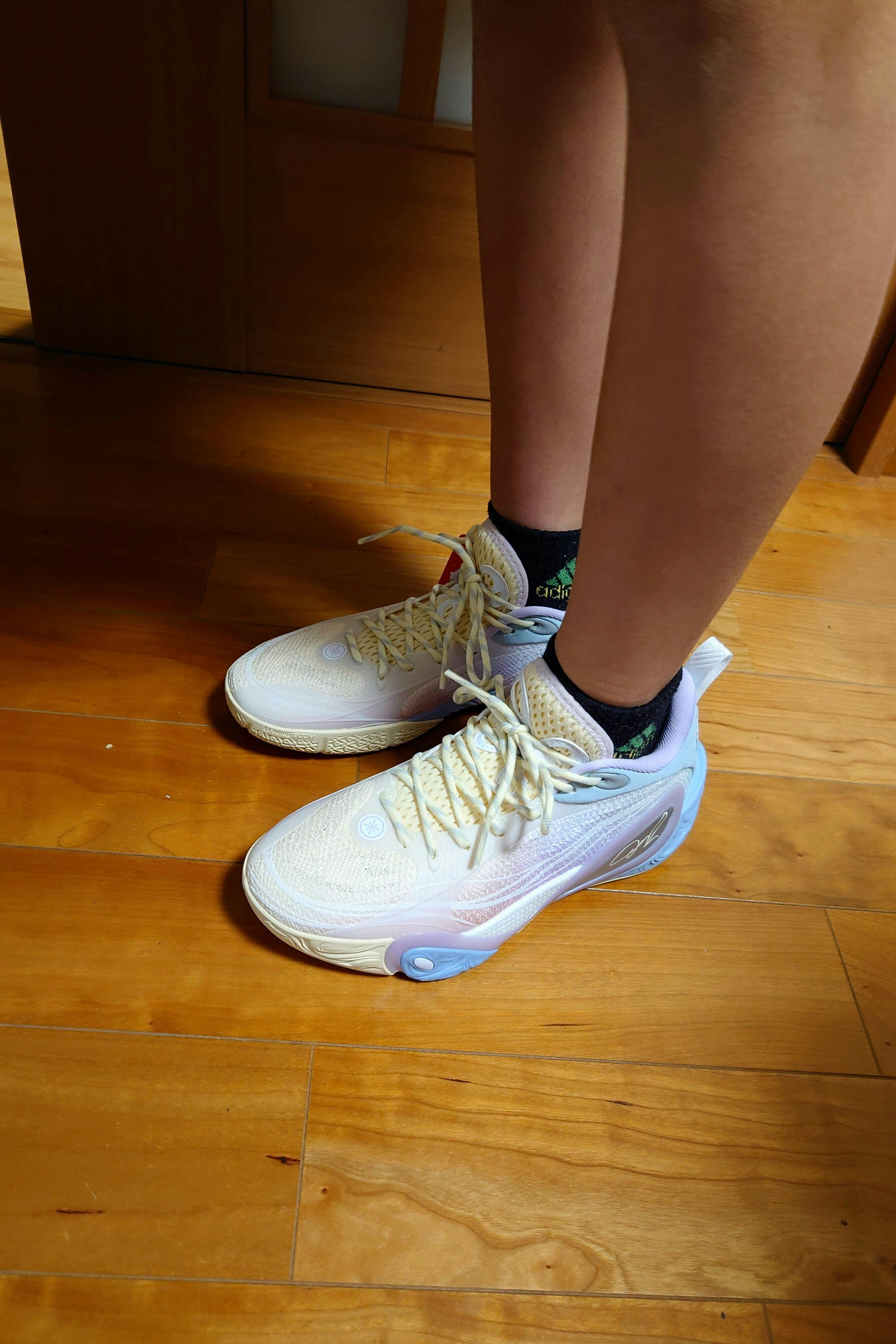 シューズ(男性用) DLO 1 28cm Dlo 1 「門徒」｜｜ウェイドバッシュ｜LININGバッシュ｜NBAバスケット