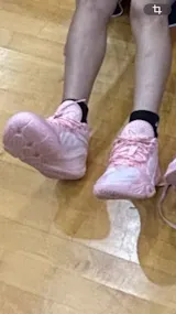 シューズ(男性用) dlo 1 US8.5 Dlo 1 「カンバス」｜｜ウェイドバッシュ｜LININGバッシュ｜NBA