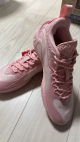 Dlo 1 「花火」｜｜ウェイドバッシュ｜LININGバッシュ｜NBAバスケット