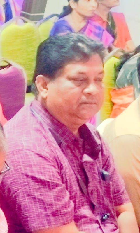 Catawba Springs Handwoven Organic Cotton Fabric 44 Inch Width