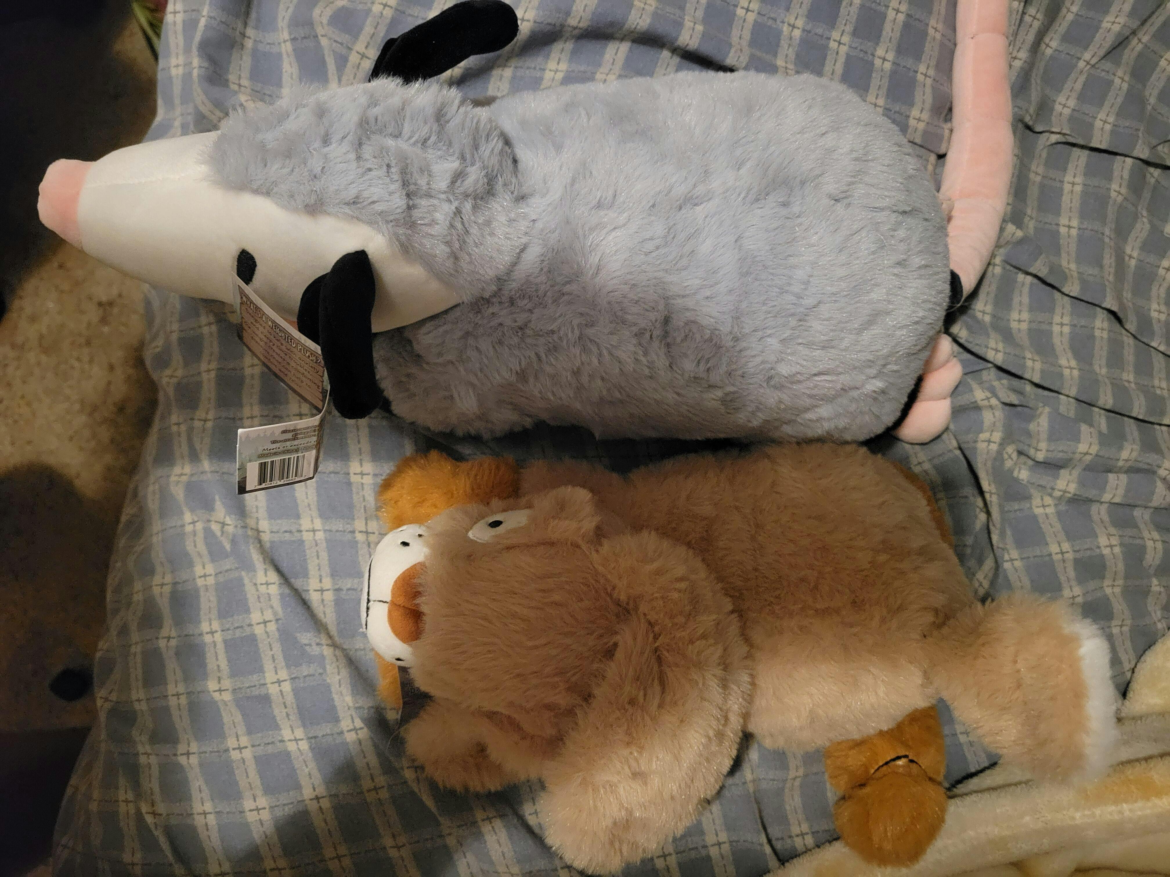 Weighted Rabbit – Weighted Wildlife