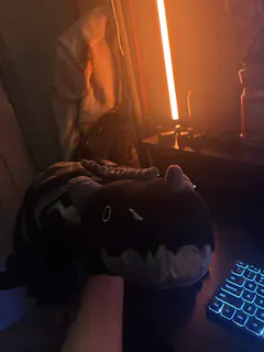 Review picture
