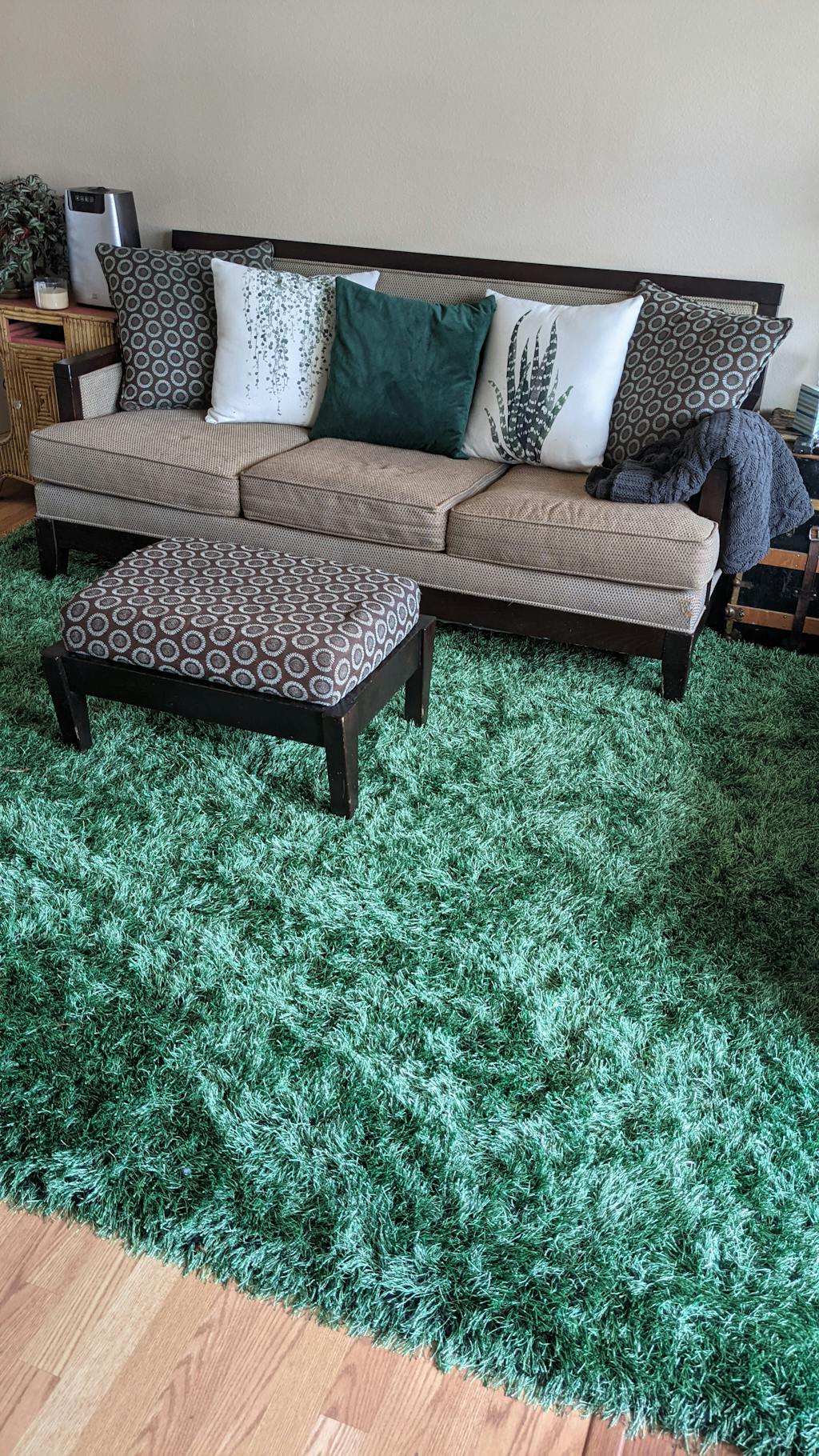 Kuki Chie Glam Solid Ultra Soft Green Shag Area Rug KU15 Well Woven