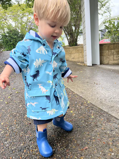 Prehistoric Dinos Colour Changing Raincoat