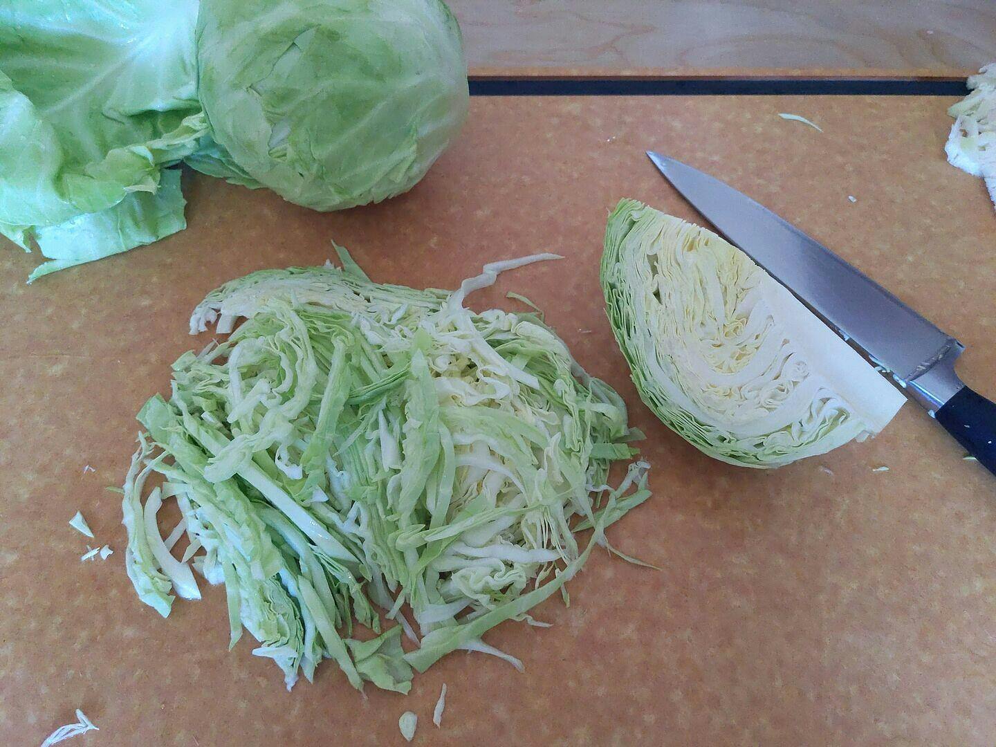 Tiara F1 Coated Cabbage Seeds – West Coast Seeds