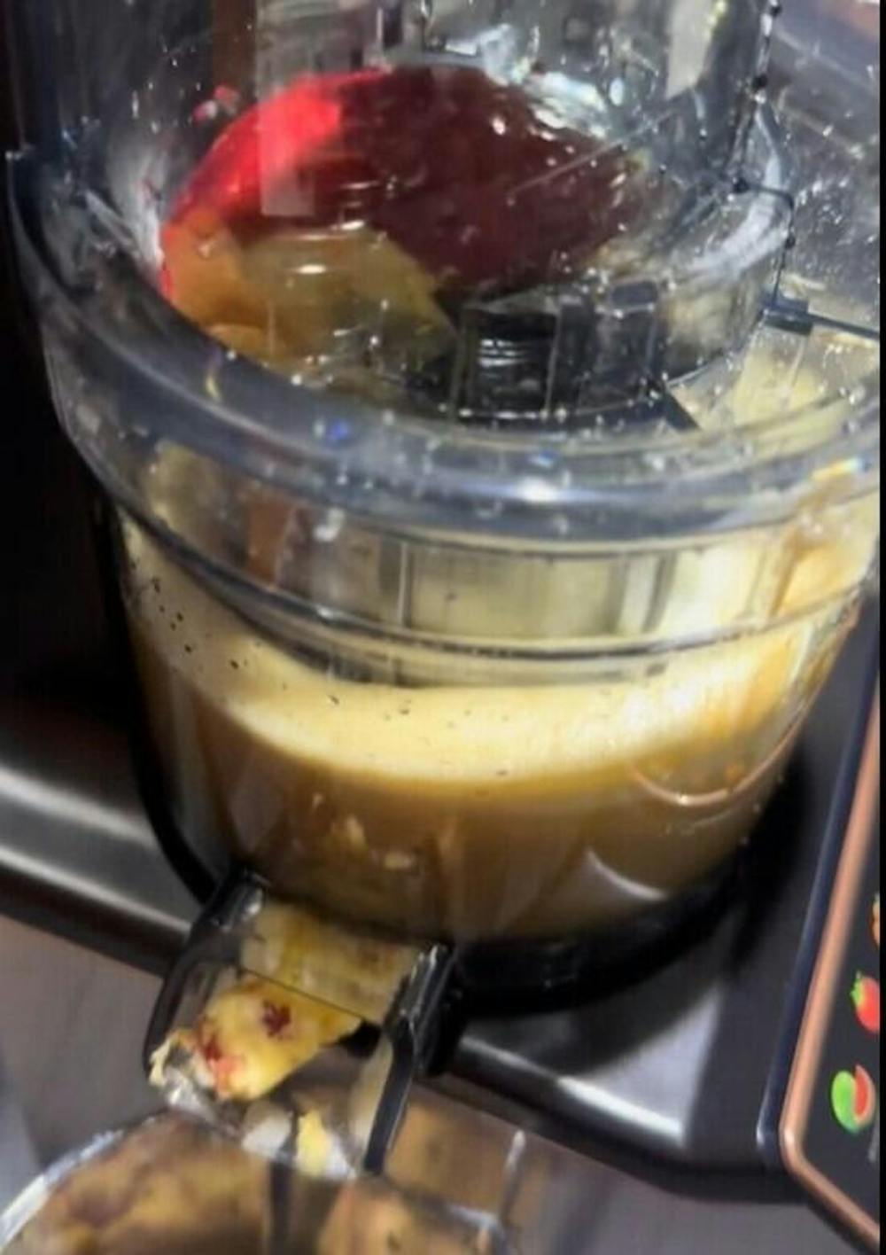 WhallPro® Cold Press Juicer Machine with Touchscreen, Slow Masticating Machines with 4.5" Extra Large Feed Chute, Reverse Function, Soft & Hard Models