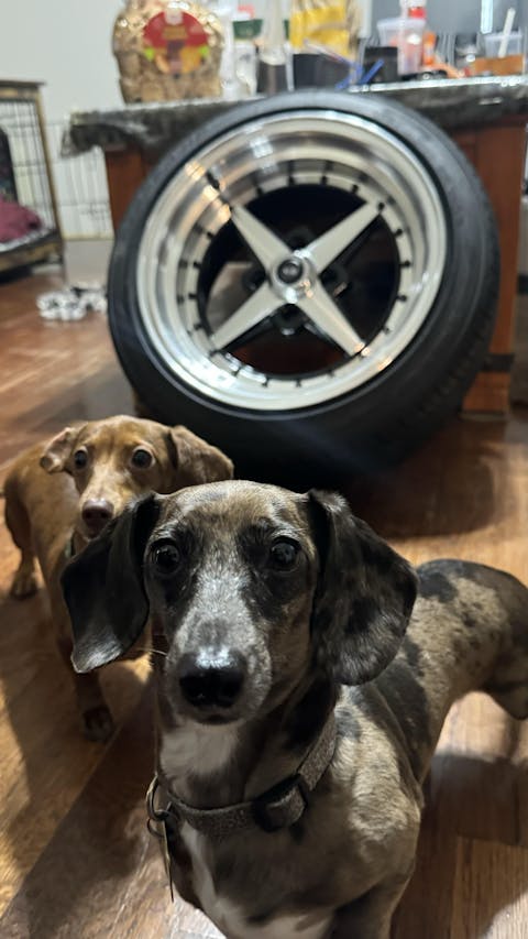 ROTA Wheel Zero Plus (15x8, 4x100+20mm, 67.1mm Hub)