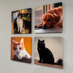 CUSTOM WHELHUNG CANVAS - 1:1 SQUARE