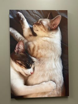 CUSTOM WHELHUNG CANVAS - 2:3 RECTANGLE