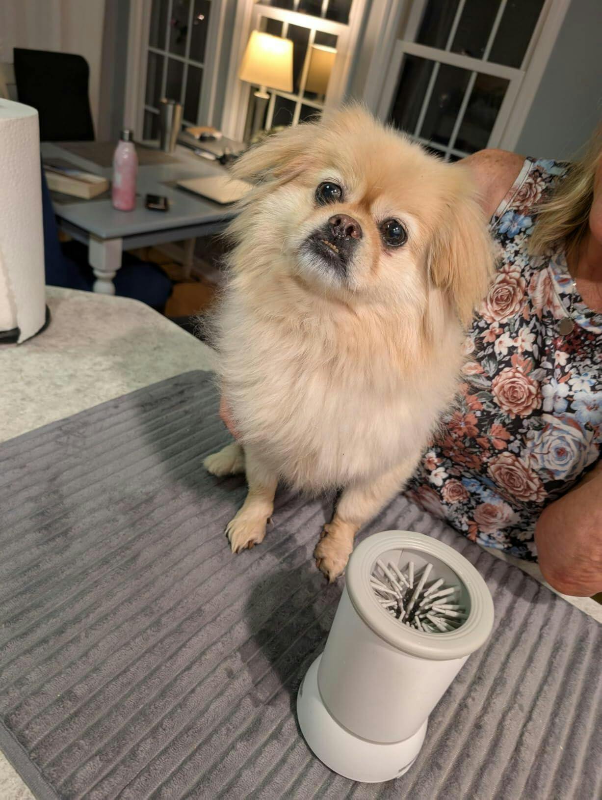 PawPure customer photo — dirty-water proof