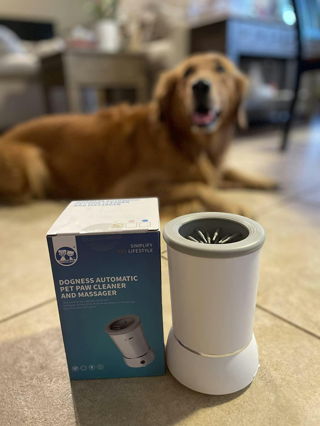 PawPure customer photo — clean paws at the door