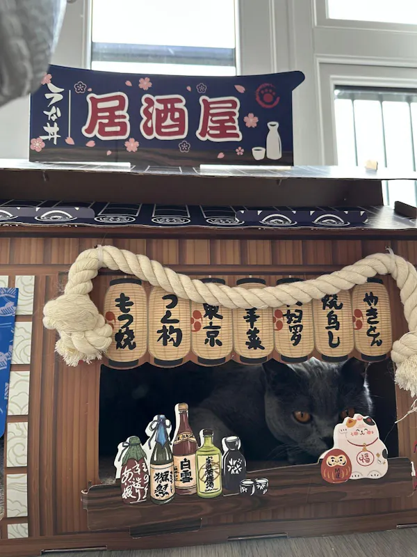 Customer photo: cat napping in the Japanese Cat House