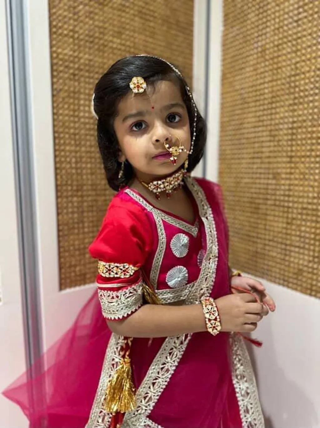 Pre Order: Shades of Pink Lehenga Set