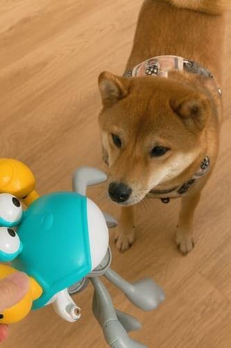 いぬ WPJP ニゲカニ – Wholesome Pets Japan