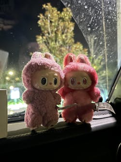 THE MONSTERS Labubu Big into Energy Series-Vinyl Plush Pendant Blind Box