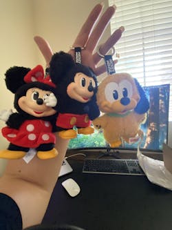 MlCKEY FAMILY Cute Together Keychain Series Plush Blind Box