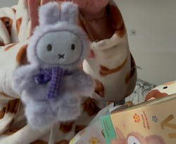 Miffy Macaron Series Plush Blind Box