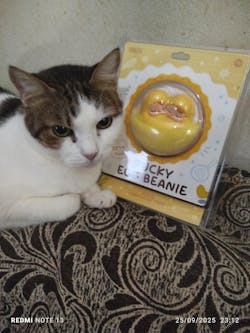 PUCKY Egg Beanie Series-Earphone Case