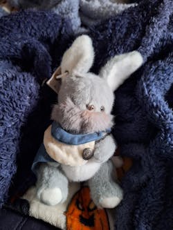 Endless Forest Series Plush Blind Box