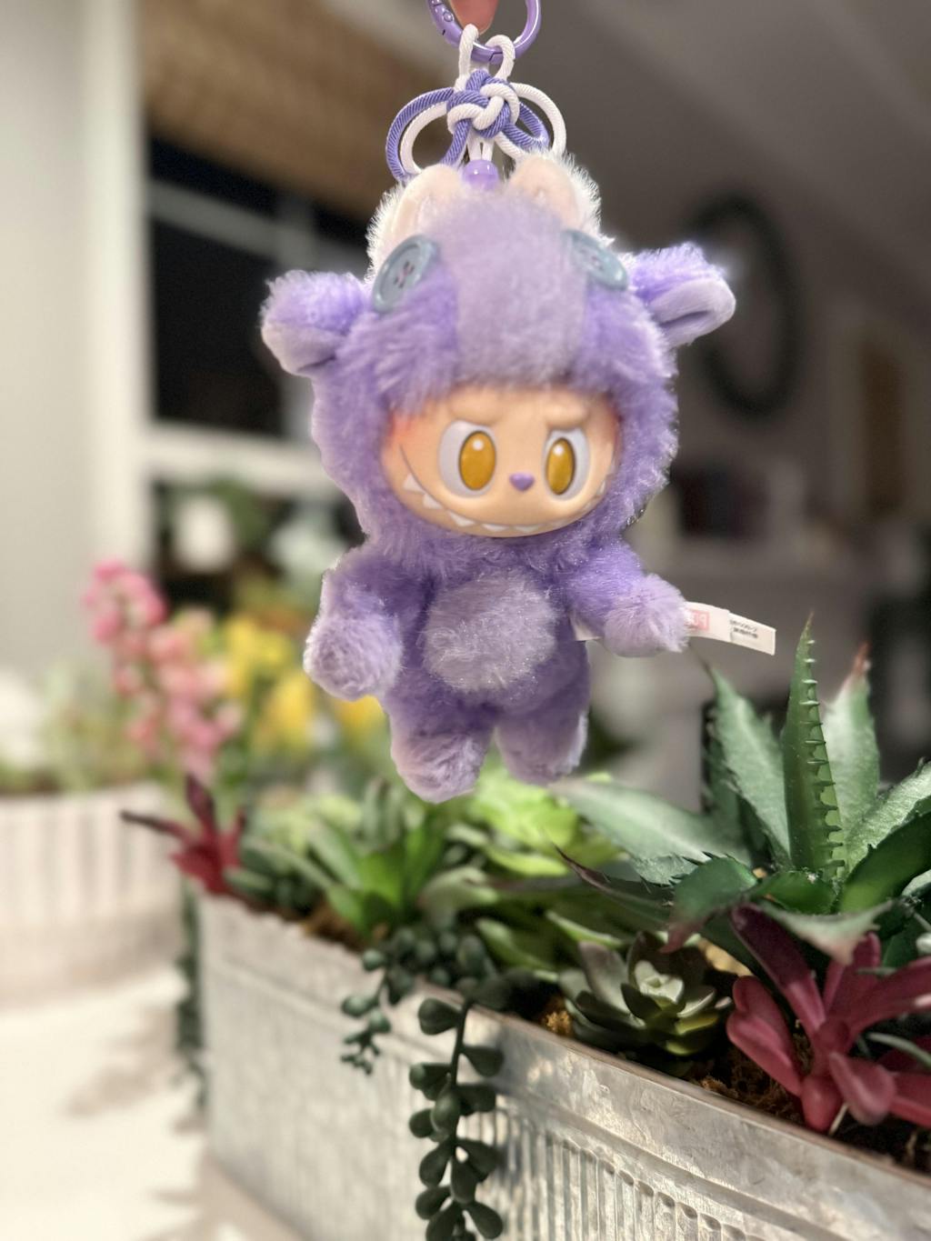 MEGA ROYAL MOLLY 400% Velvet Flowers – WHOOPEA