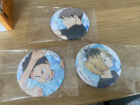 Haikyu!! Series Double Flashing Badge