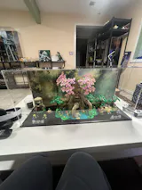 Display Case for LEGO The Legend of Zelda Great Deku Tree 2-in-1
