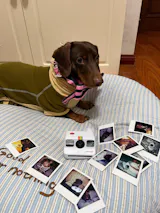 User picture