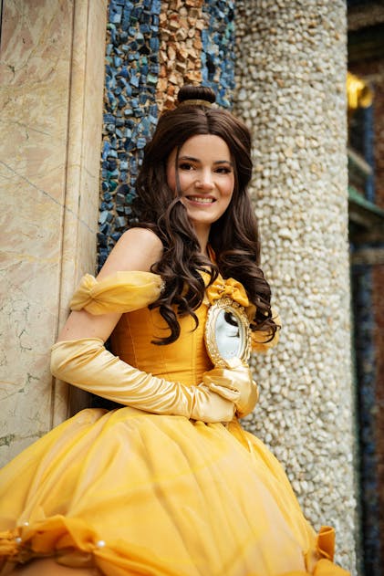 Brown Braid Belle Beauty and the Beast Wig