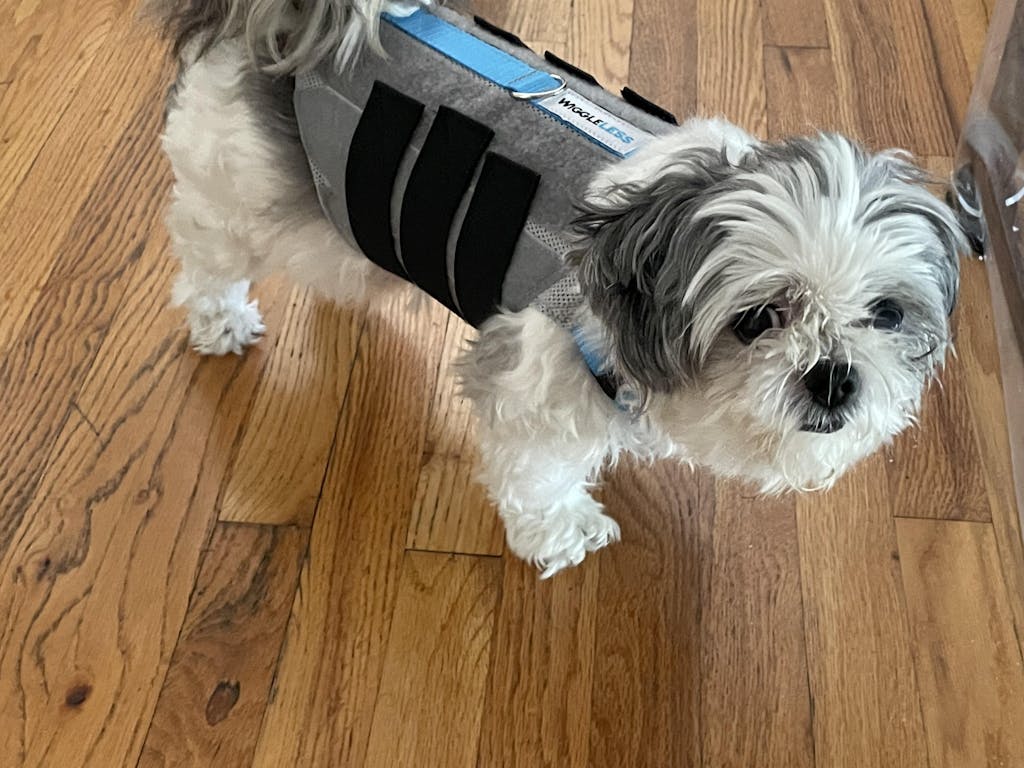 WiggleLess Back Brace WiggleLess