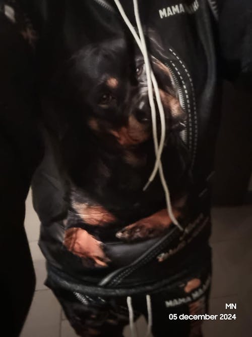 Wiizaa | Wear Your Story