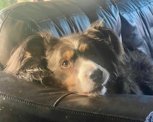 Wiizaa | Wear Your Story