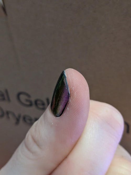 Violet Chrysilla