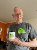 User picture