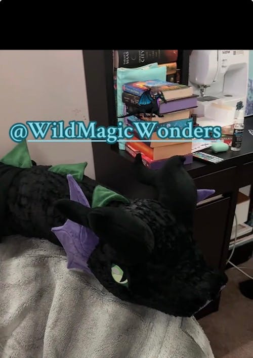 Bookwyrm Builder January- April 2026 Shipping